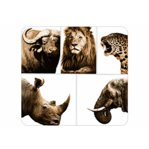 Big 5 Coasters