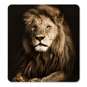 Big 5 Coasters